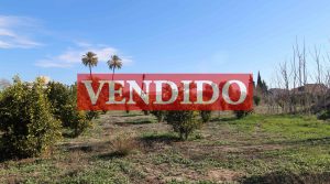 VENTA TERRENO – LA ARBOLEJA – MURCIA